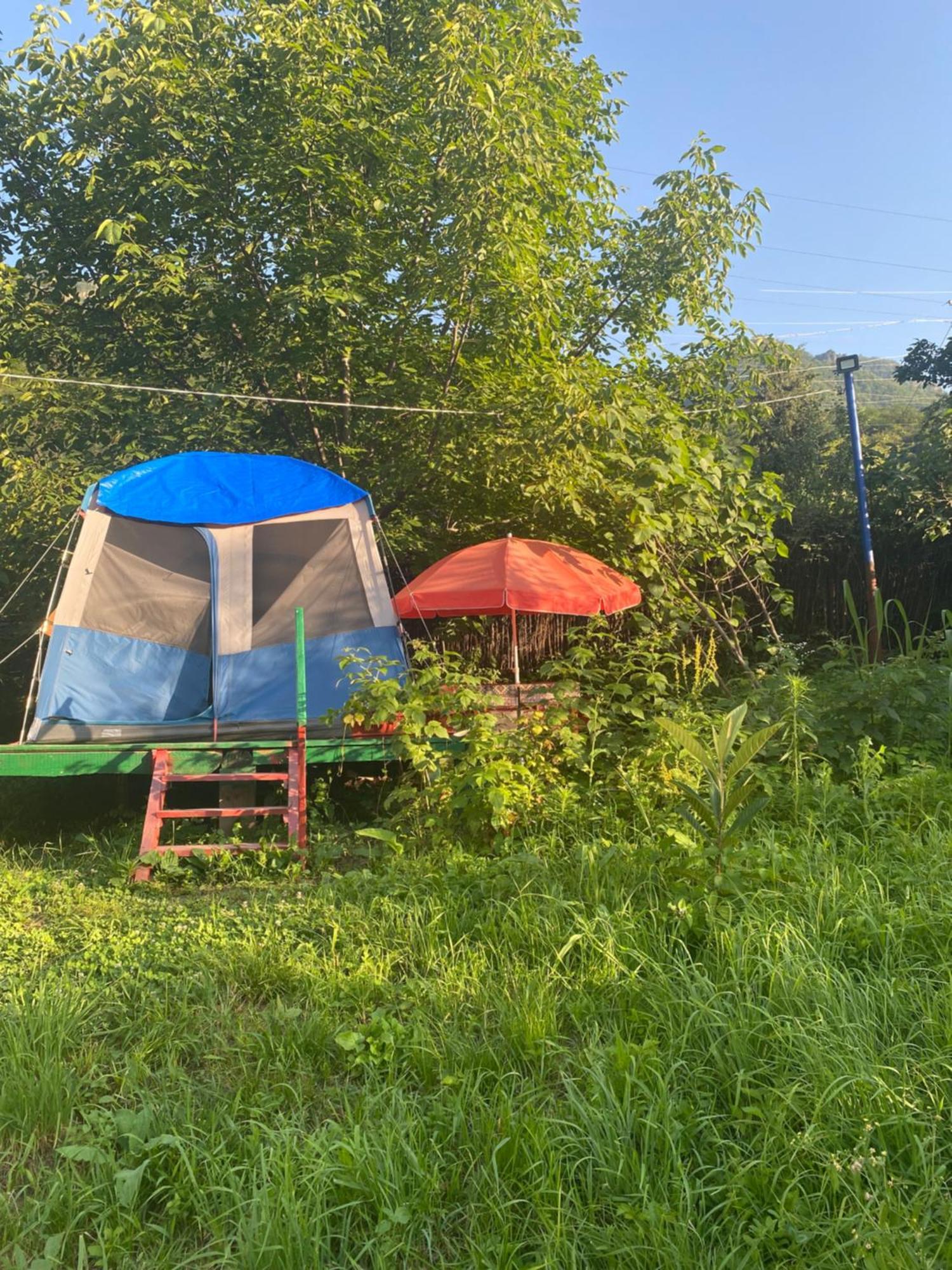 Tereza Glamping Hotel Szanain Kültér fotó